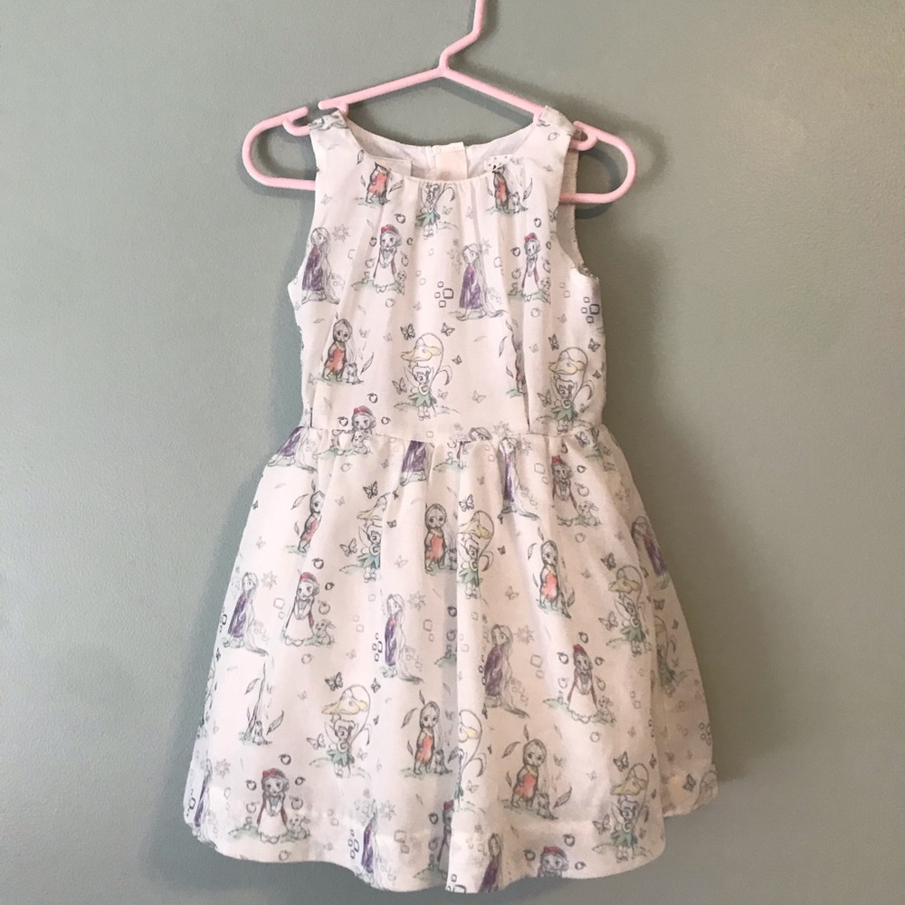 Disney Princess Dress!